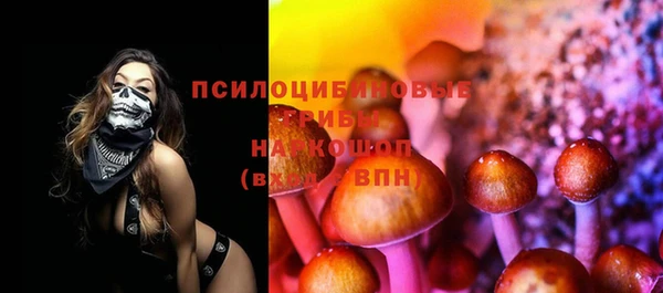 амф Пестово