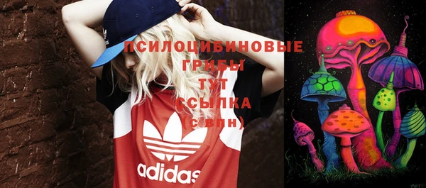 амф Пестово