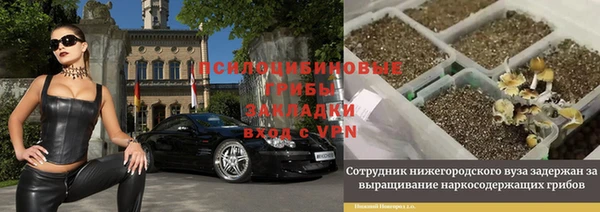 амф Пестово
