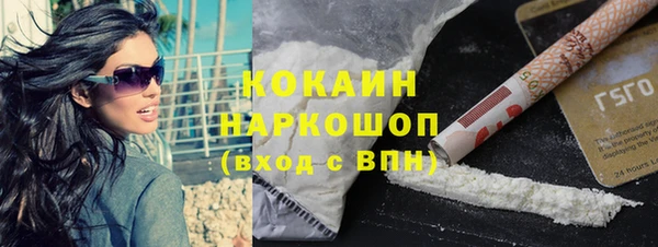 амф Пестово