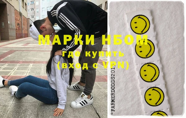 амф Пестово