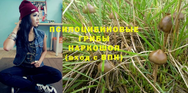 амф Пестово