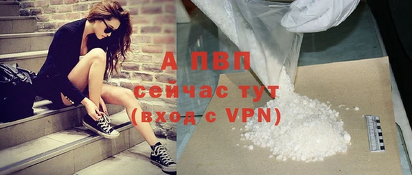 амф Пересвет